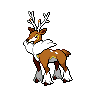 Shiny Sawsbuck (Winter)